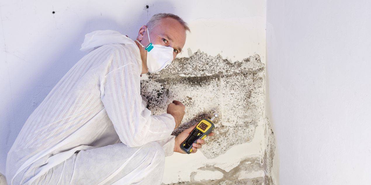 Experte in Schutzkleidung misst mit einem Feuchtigkeitsmessgeraet die betroffene Wand – typische Praxis aus dem TRGS 521 Lehrgang zur Gefaehrdungsbeurteilung.