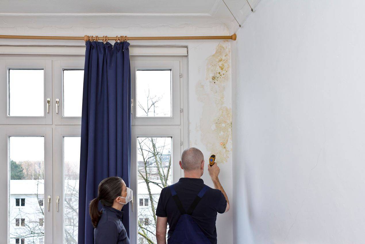 Fachpersonal inspiziert eine verschimmelte Wand in einer Altbauwohnung mithilfe eines Messgeraets – Umsetzung von Wissen aus dem TRGS 521 Lehrgang.
