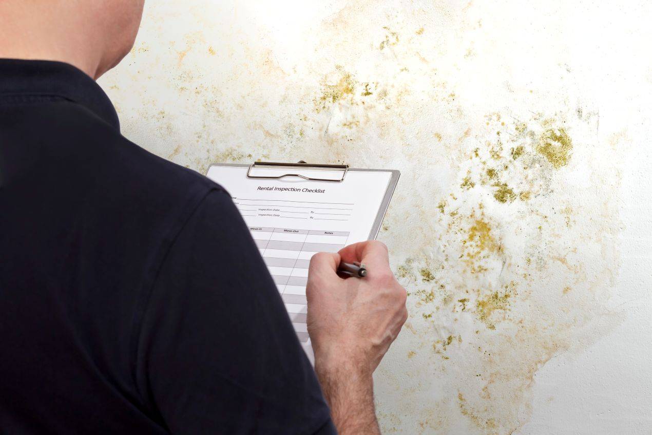 Ein Fachmann inspiziert eine schimmelbefallene Wand und dokumentiert den Zustand auf einer Checkliste – relevante Anwendung nach TRGS 521 Lehrgang.