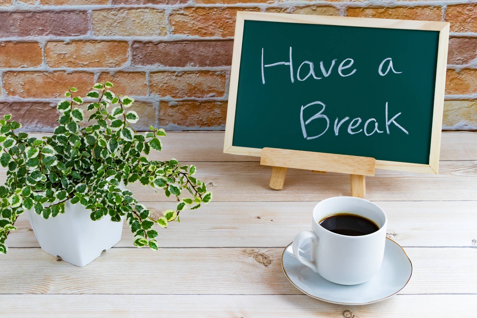 Kaffeepause mit Schild und Pflanze | Tankrucksack

