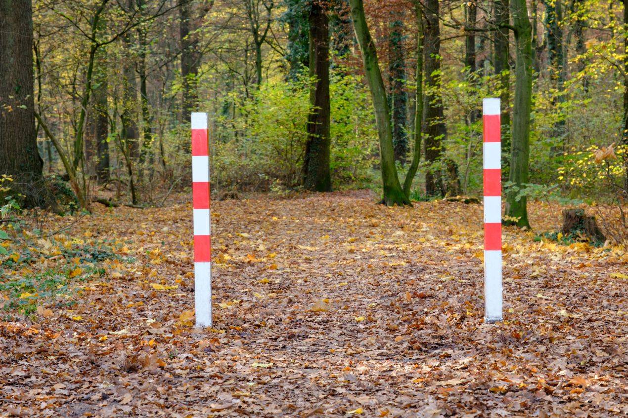 Absperrpfosten mit roter Markierung auf einem Waldweg zum Schutz natuerlicher Wege vor Kraftfahrzeugen